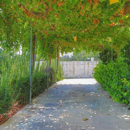 Villa Aphrodite Finiki Polis Zewnętrze zdjęcie